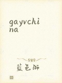 gayvchina封面