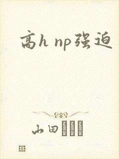 高h np强迫
