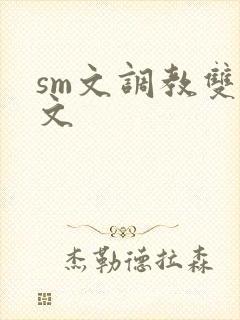 sm文调教双性文封面
