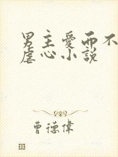 男主爱而不得的虐心小说