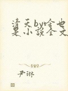 清天by啥也不是小说全文免费阅读