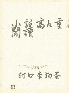 小说高h重在线阅读