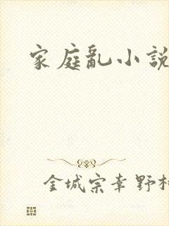 家庭乱小说封面