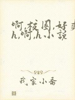 啊,校园,好爽h,啊,h小说封面