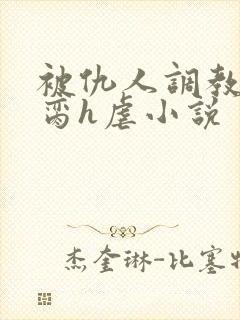 被仇人调教成禁脔h虐小说