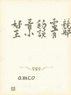 好看的电竞双男主小说有哪些封面