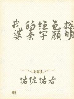 我的绝色总裁老婆秦宇颜明玉小说免费阅读