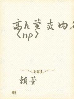 高h荤爽肉欲文〈np〉