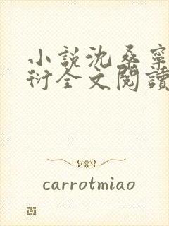 小说沈桑宁裴如衍全文阅读封面