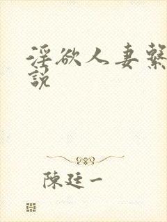 淫欲人妻系列小说封面