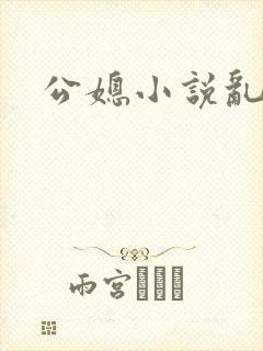 公媳小说乱封面