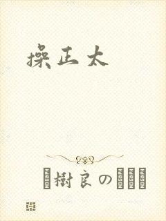 操正太封面