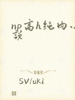 np高h纯肉小说