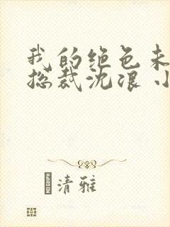 我的绝色未婚妻总裁沈浪 小说