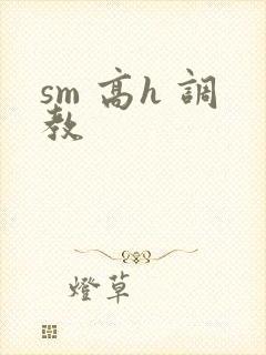 sm 高h 调教