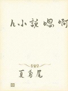 h小说 嗯 啊