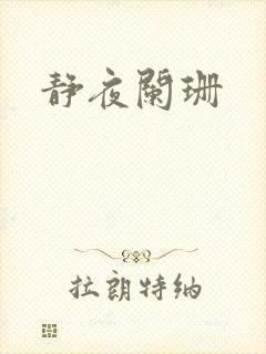 静夜阑珊