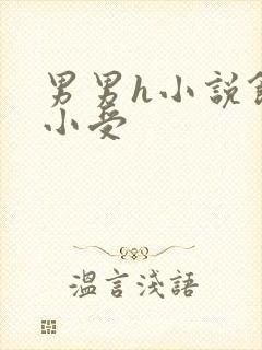 男男h小说饥渴小受