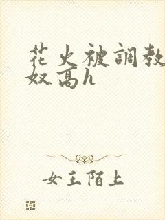 花火被调教成肉奴高h