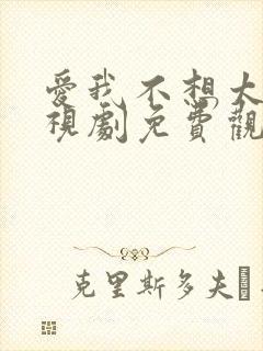 爱我不想太多电视剧免费观看全集封面