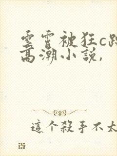 云霄被狂c躁到高潮小说,