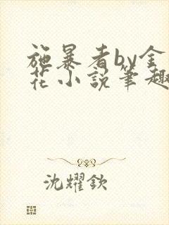 施暴者by金银花小说笔趣阁无弹窗封面