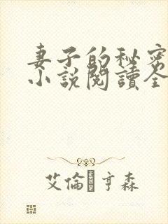 妻子的秘密吴双小说阅读全文