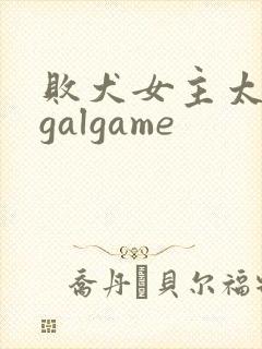 败犬女主太多了galgame