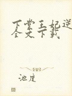 下堂王妃逆袭记全文下载封面