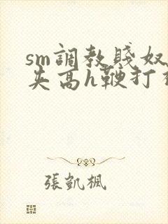 sm调教贱奴乳夹高h鞭打视频