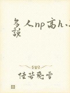 多人np高h小说封面