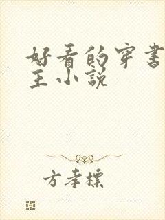 好看的穿书双男主小说