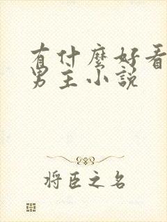 有什么好看的双男主小说