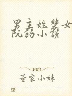 男主姓裴女主姓阮的小说