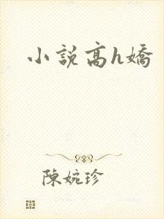 小说高h娇封面