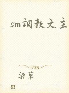 sm调教文主奴