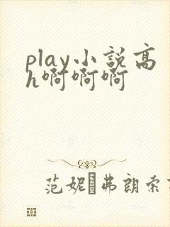 play小说高h啊啊啊封面