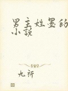 男主姓墨的总裁小说