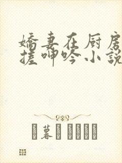 娇妻在厨房被揉搓呻吟小说