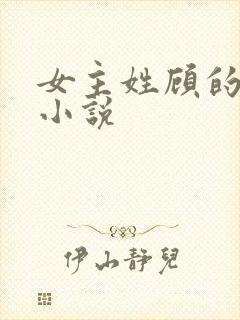 女主姓顾的现代小说封面