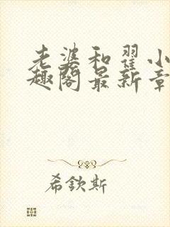 老婆和翟小说笔趣阁最新章节列表