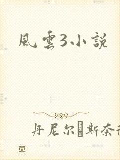 风云3小说
