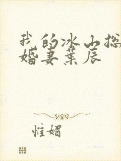 我的冰山总裁未婚妻叶辰