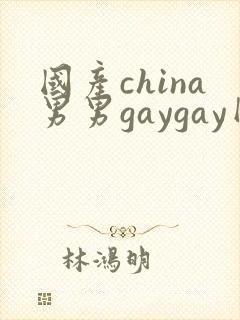 国产china男男gaygay网站