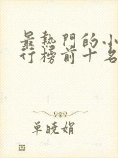 最热门的小说排行榜前十名封面