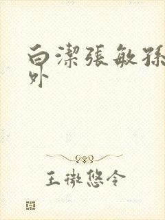 白洁张敏孙倩番外