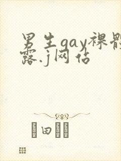 男生gay裸体露.j网站