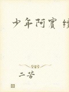 少年阿宾 续封面