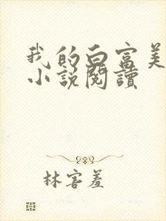 我的白富美老婆小说阅读