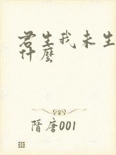 君生我未生暗示什么